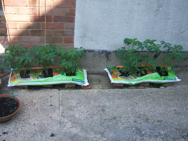 2009_0701Image0001